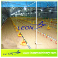 Automatisches Geflügelfütterungssystem der Leon-Serie